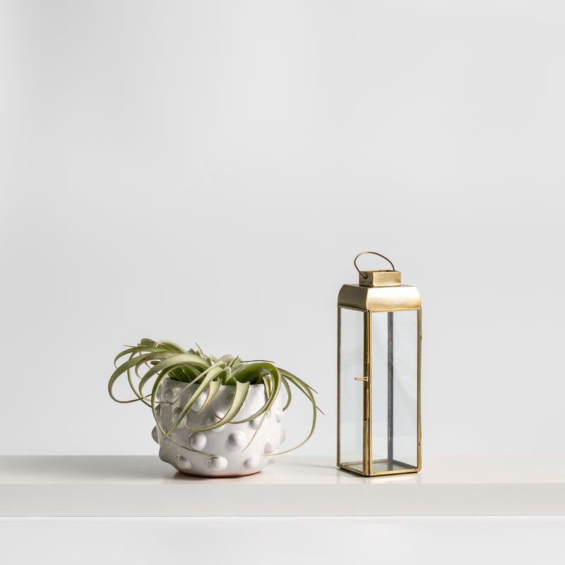 interior decor accessories gold glass hurricane lantern and white bumpy pot